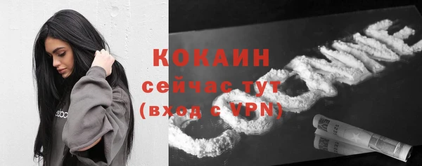 прущие крисы Аркадак