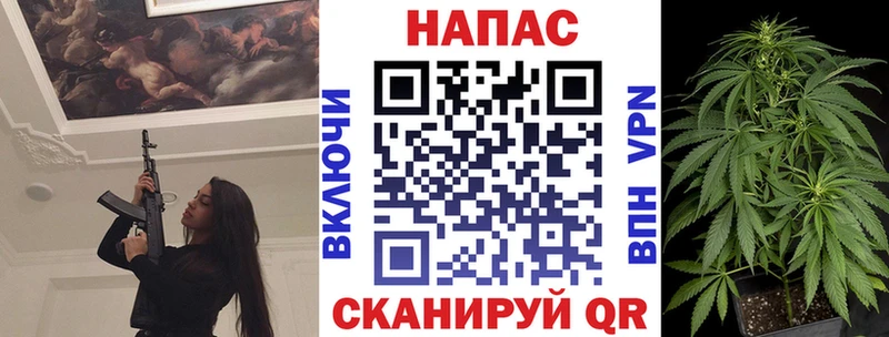 Бошки Шишки семена  Купить  Татарск 